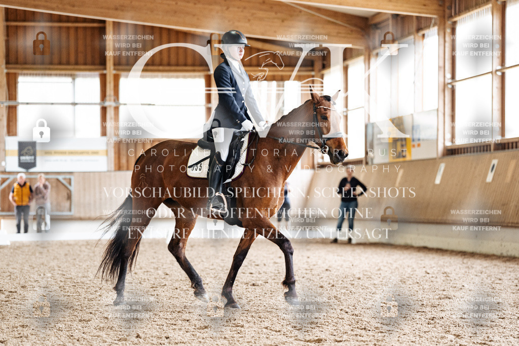CK900359 | Turnierfotografie Pferdefotografie Trier Rheinland-Pfalz Pferdesport Reitsport Tierfotografie Sportfotografie Pferdevideo Pferdevideografie Equestrianvideography equestrianphotography  - Realisiert mit Pictrs.com