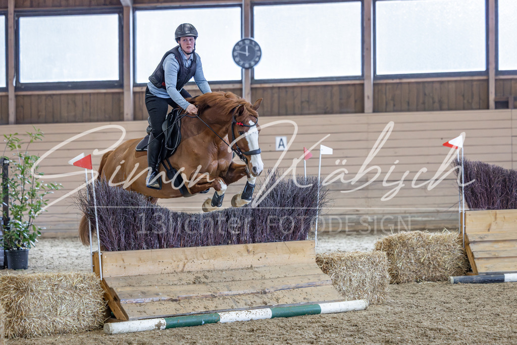 20260221-_3LI0197 | Tierfotografie Pferde, Hunde, Katzen, Haustiere.
Turnierfotografie Reitturniere, Reiten, Springreiten, Dressur in Hanau, dem Main-Kinzig-Kreis und dem Rhein-Main- Gebiet um Frankfurt