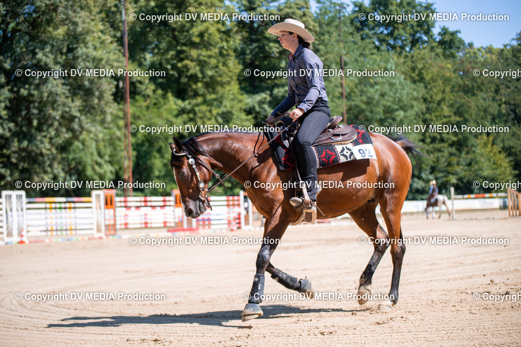 ZS1_1009 | dv-media-shop - Realisiert mit Pictrs.com