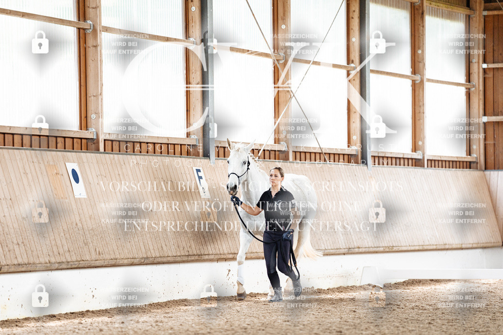 CK907714 | Turnierfotografie Pferdefotografie Trier Rheinland-Pfalz Pferdesport Reitsport Tierfotografie Sportfotografie Pferdevideo Pferdevideografie Equestrianvideography equestrianphotography  - Realisiert mit Pictrs.com