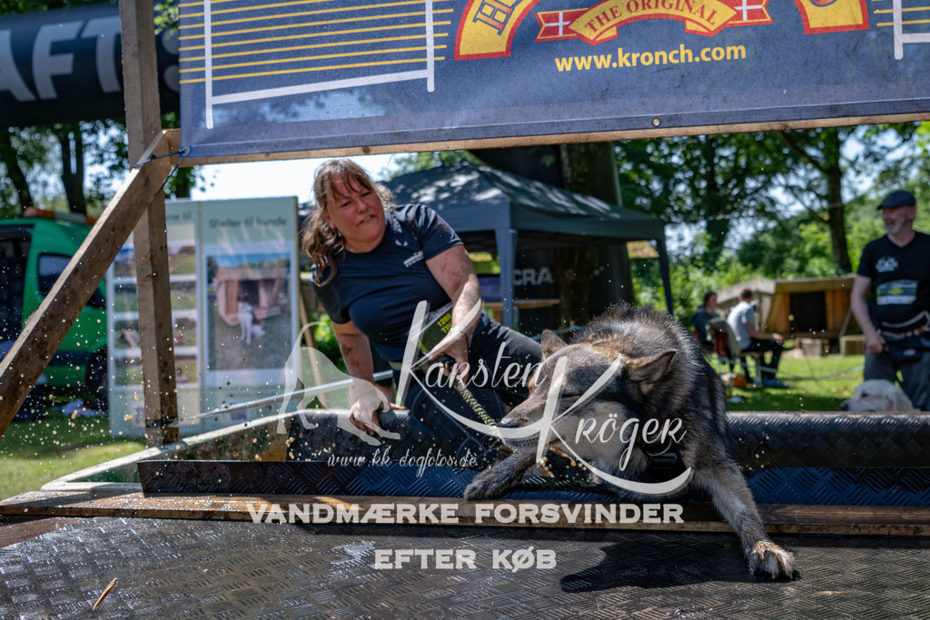 1251_ZZ90112 | kk-dogfotos