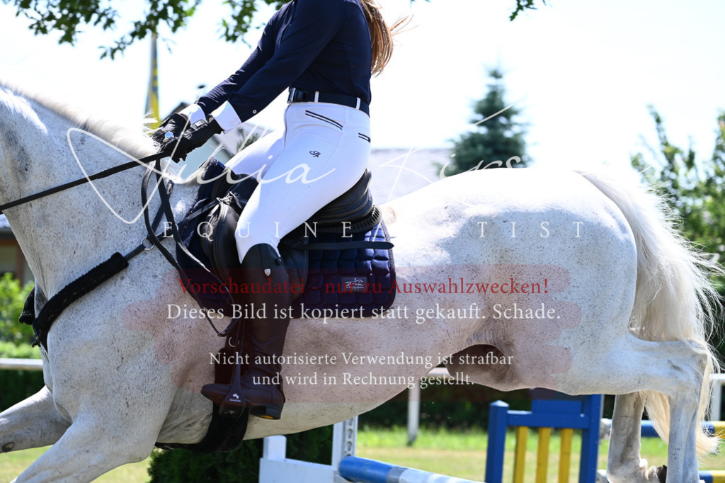 DSC_0578 | Pferde- und Turnierfotografie in Westsachsen. Pferdeportraits, Auftragszeichnungen und intuitive Kunst.
