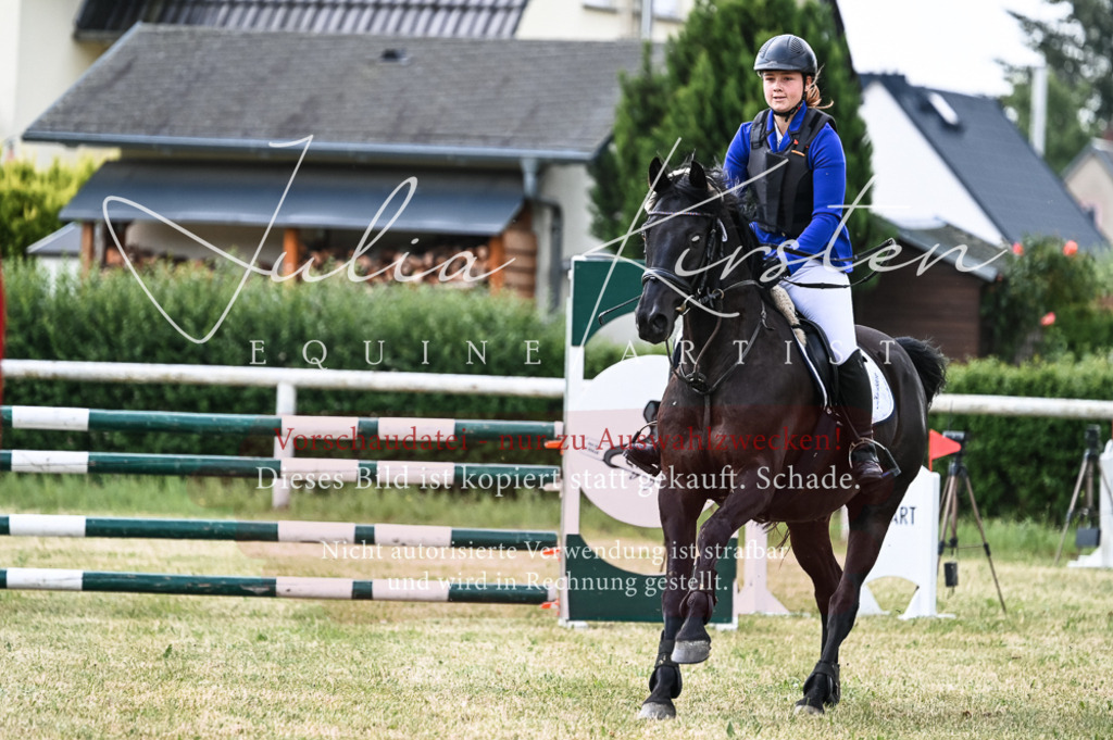 DSC_8967 | Pferde- und Turnierfotografie in Westsachsen. Pferdeportraits, Auftragszeichnungen und intuitive Kunst.