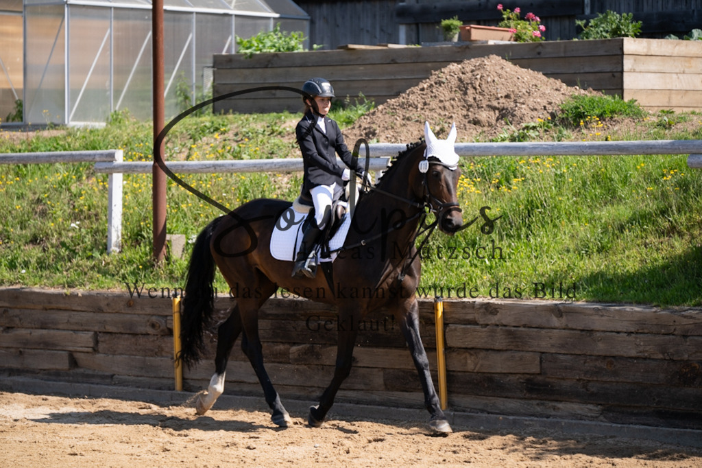 A7V07849 | Turnier/Reitfotograf