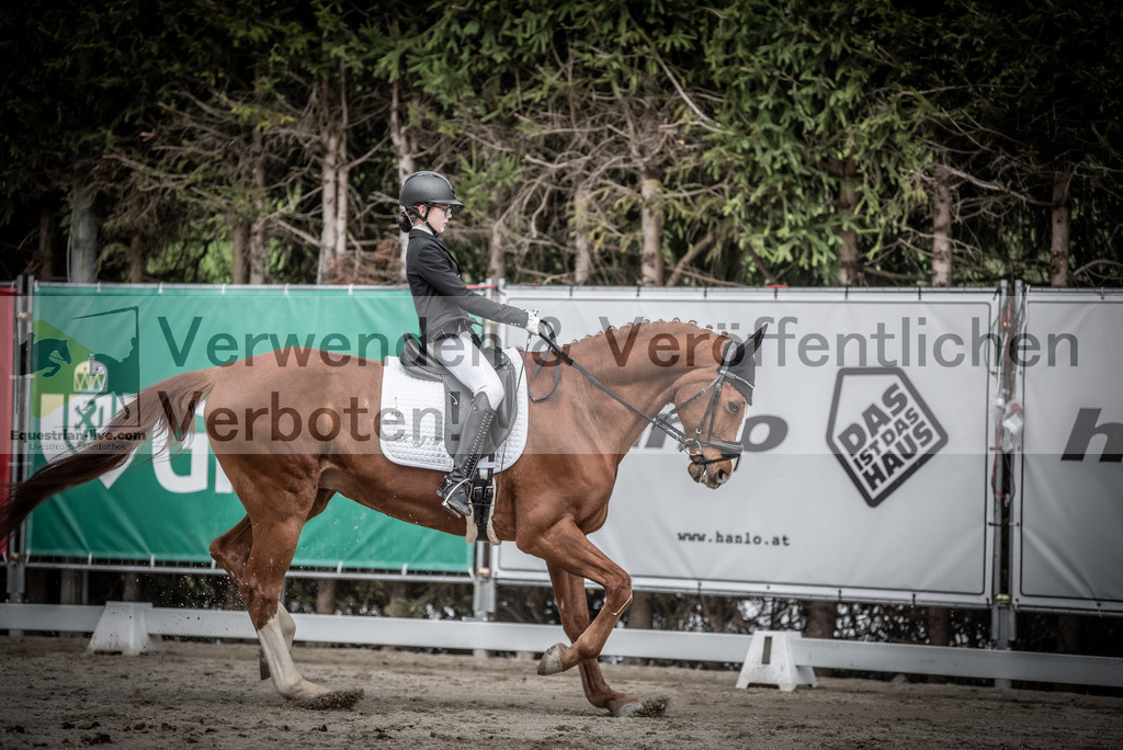 DSC_3232 | equestrian-live-com