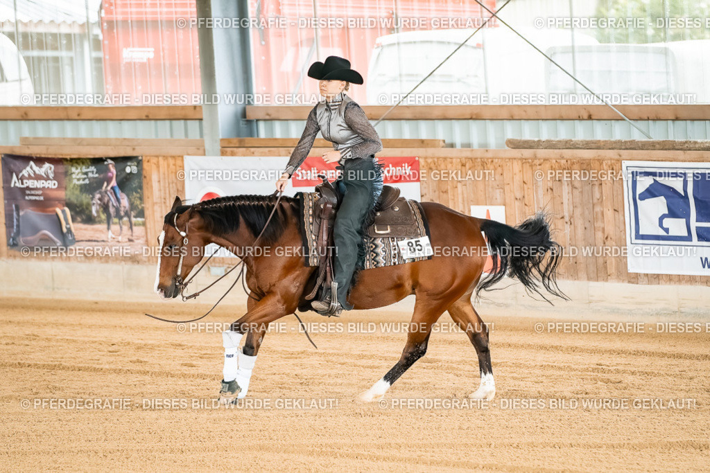 DSC02815 | Pferdegrafie