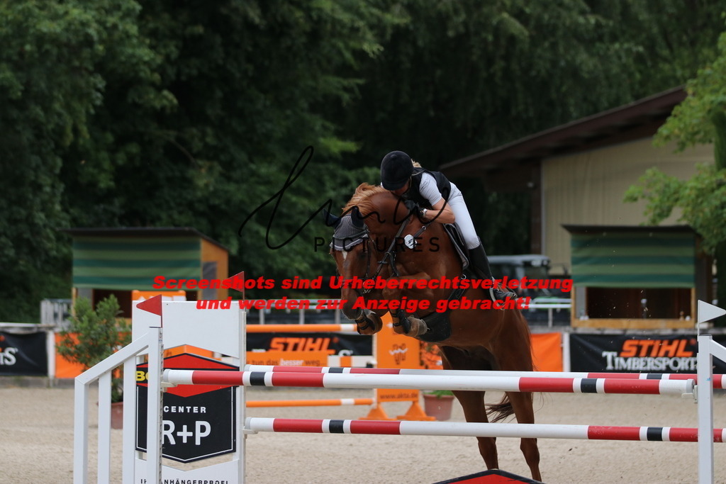 IMG_2924 | lmwpictures - Realisiert mit Pictrs.com