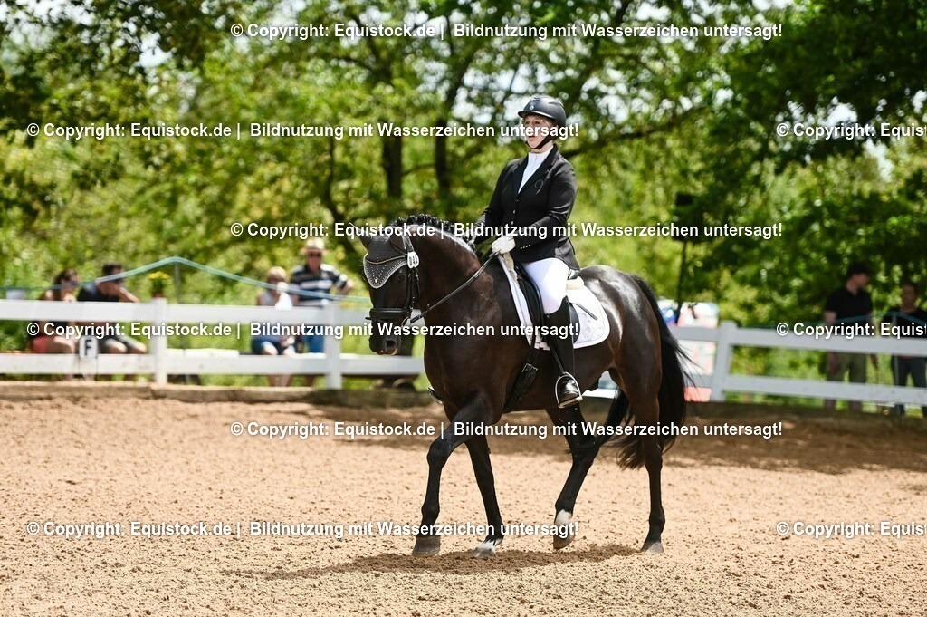 20230716_03_Dressurprfg. Kl.L - Tr._0178 | equistock