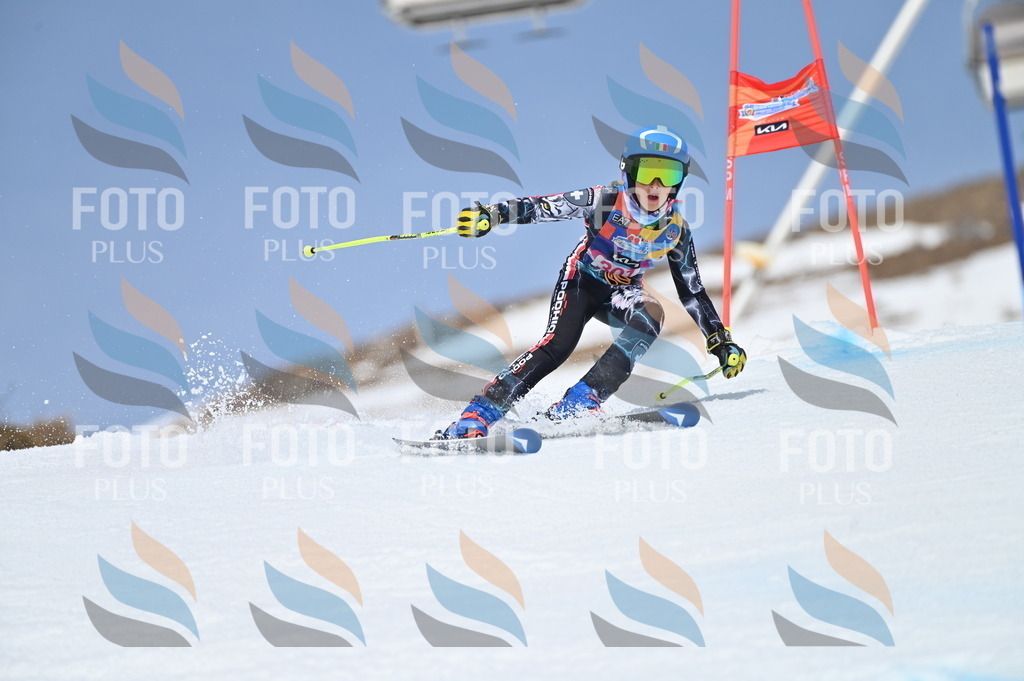 BGV_2792 | holidayphoto