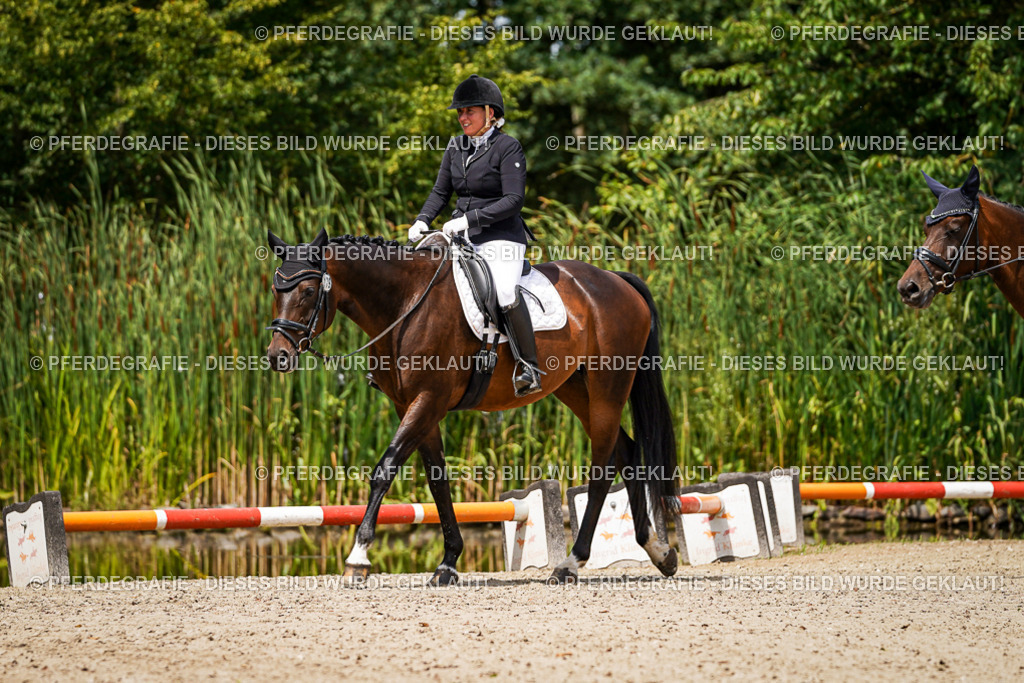 DSC02203 | Pferdegrafie