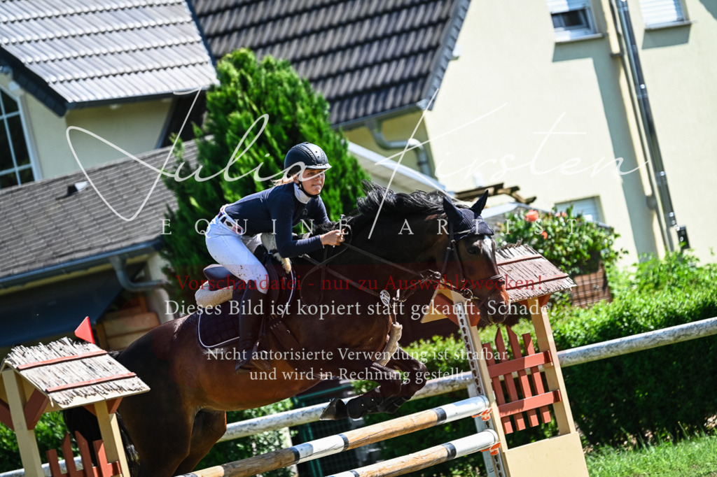 DSC_1313 | Pferde- und Turnierfotografie in Westsachsen. Pferdeportraits, Auftragszeichnungen und intuitive Kunst.