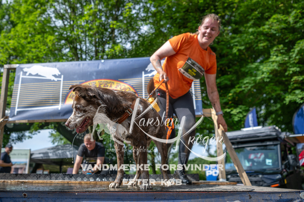 1003_ZZ93794 | kk-dogfotos