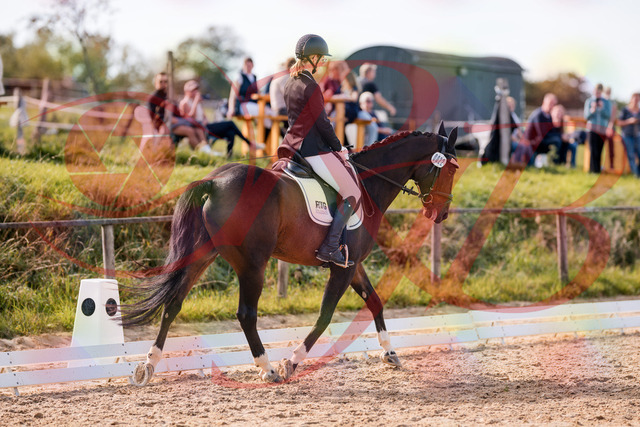 2026_10_03_Siefer-Hof_132529_Z81_76189759 | Professionelle Reitsport-, Turnier- und Eventfotografie von Robert Broda. Galerien mit ausgewählten und bearbeiteten Bildern direkt online ansehen und bestellen.