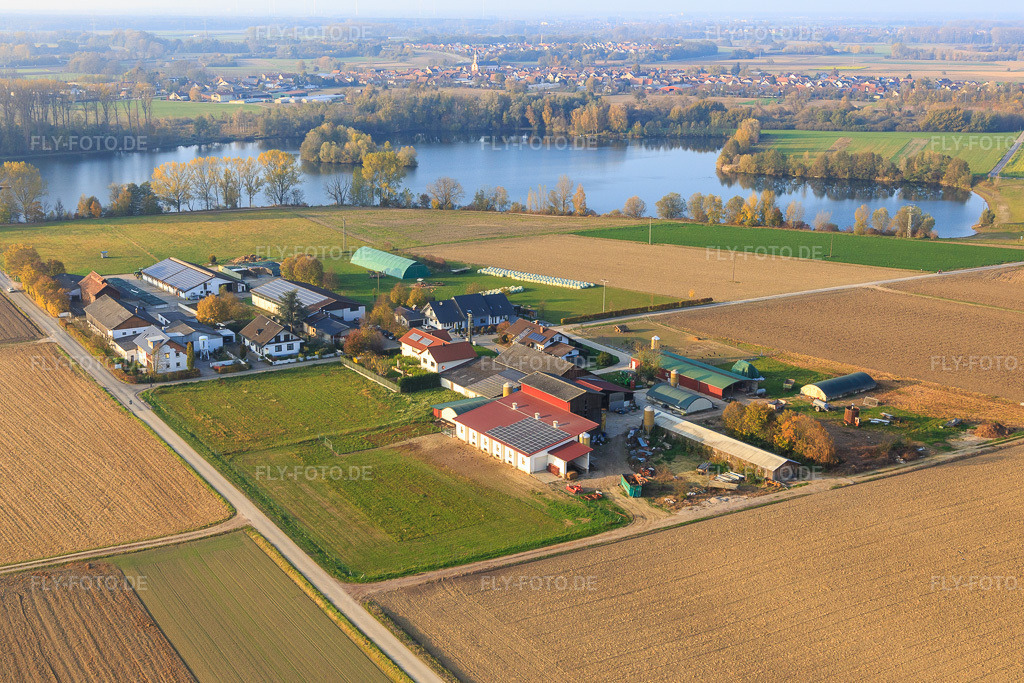 Luftbild: Burgerhof Aussiedlung in Neupotz im Bundesland Rheinland-Pfalz in Deutschland. Foto: IMG_104457.jpg vom 03.11.2017 durch Werner Riehm/FLY-FOTO.deBurgerhof Neupotz Fleisch Wurst Hofmetzgerei Partyservice