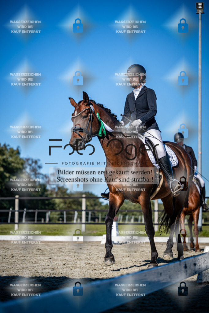 2026-09-Lohne-11-0041 | Entdecke hochwertige Reitturnierfotos von Foto Oger. Professionell, emotional und authentisch – jetzt Lieblingsmomente im Shop bestellen.Deutschlandweite Turnierfotografie. - Realisiert mit Pictrs.com