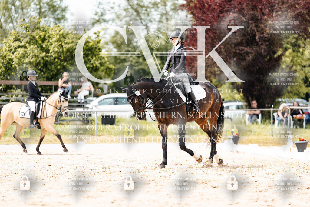 CK902454 | Turnierfotografie Pferdefotografie Trier Rheinland-Pfalz Pferdesport Reitsport Tierfotografie Sportfotografie Pferdevideo Pferdevideografie Equestrianvideography equestrianphotography  - Realisiert mit Pictrs.com