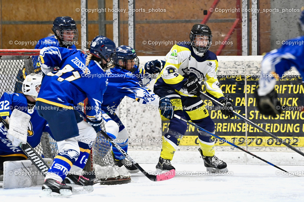 Wildcats Paternion vs. Lady Hawks  | #81 Zussner Julia LADY HAWKS, #32 Prasser Hannah Sophie LADY HAWKS, #9 Neumann Magdalena WILDCATS PATERNION, Wildcats Paternion vs. Lady Hawks , Wildcats Paternion vs. Lady Hawks  am 27.01.2025 in Spittal an der Drau (Eissportzentrum Spittal), Austria, (Photo by Bernd Stefan)