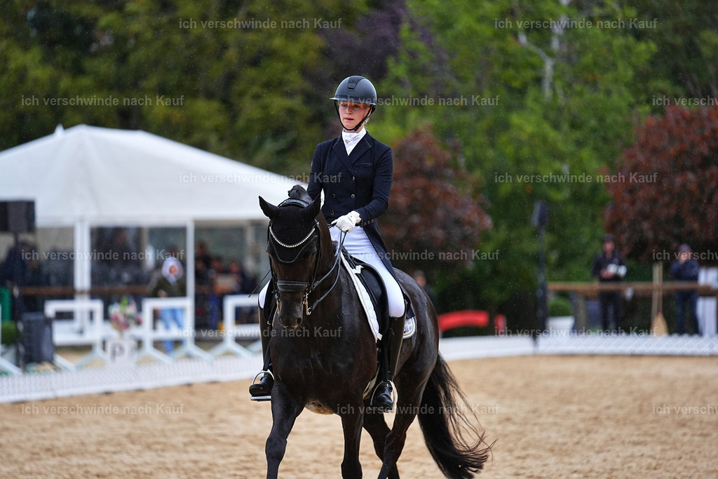 8_1-212-Klasse S_  -Marixx-4268 | working equitationturnier fotograf videograf stoibphotography marixx film working equitation deutschland reitsport turnierfotografie eventfotografie equestrian events