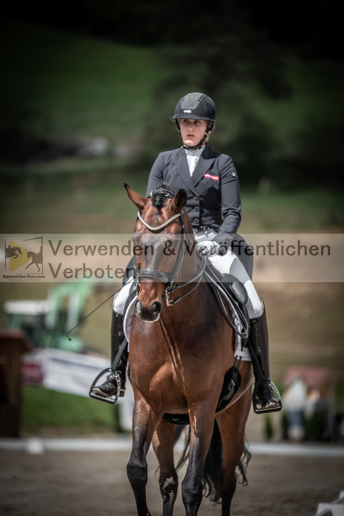 DSC_2366 | equestrian-live-com