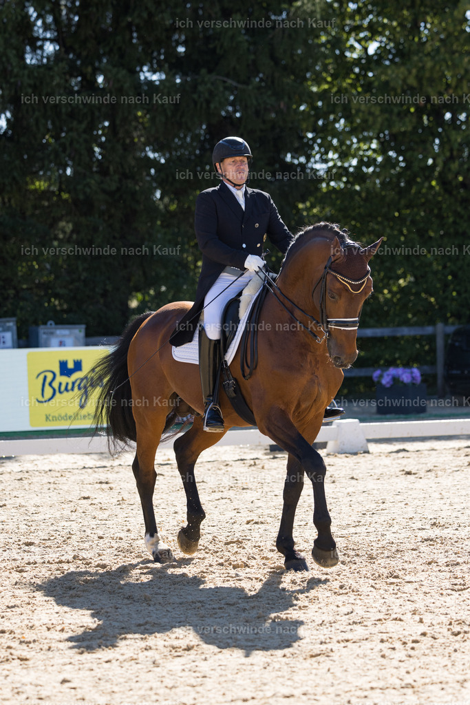 FHC2026_P07_168_17532 | working equitationturnier fotograf videograf stoibphotography marixx film working equitation deutschland reitsport turnierfotografie eventfotografie equestrian events