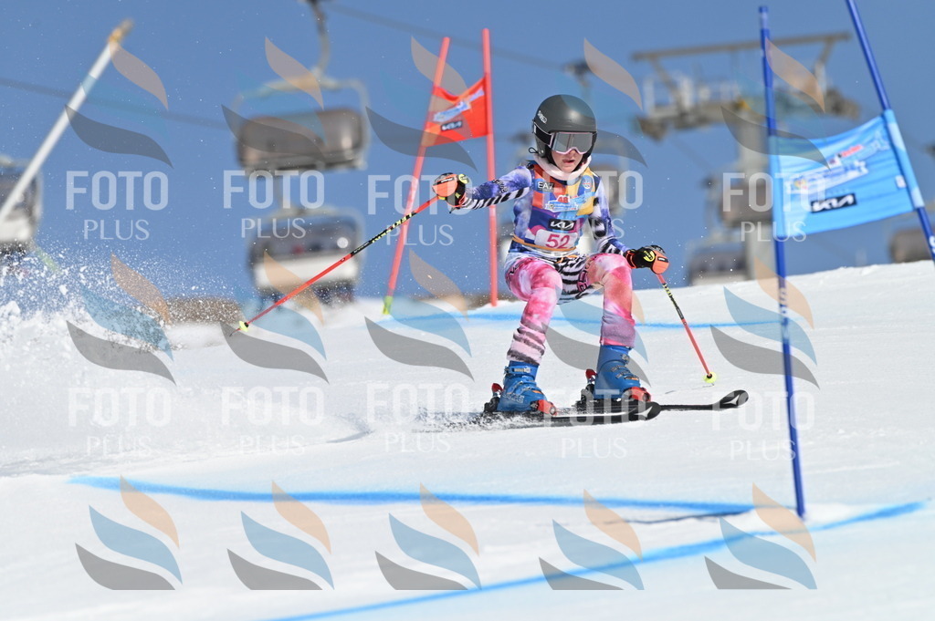 BGV_8568 | holidayphoto