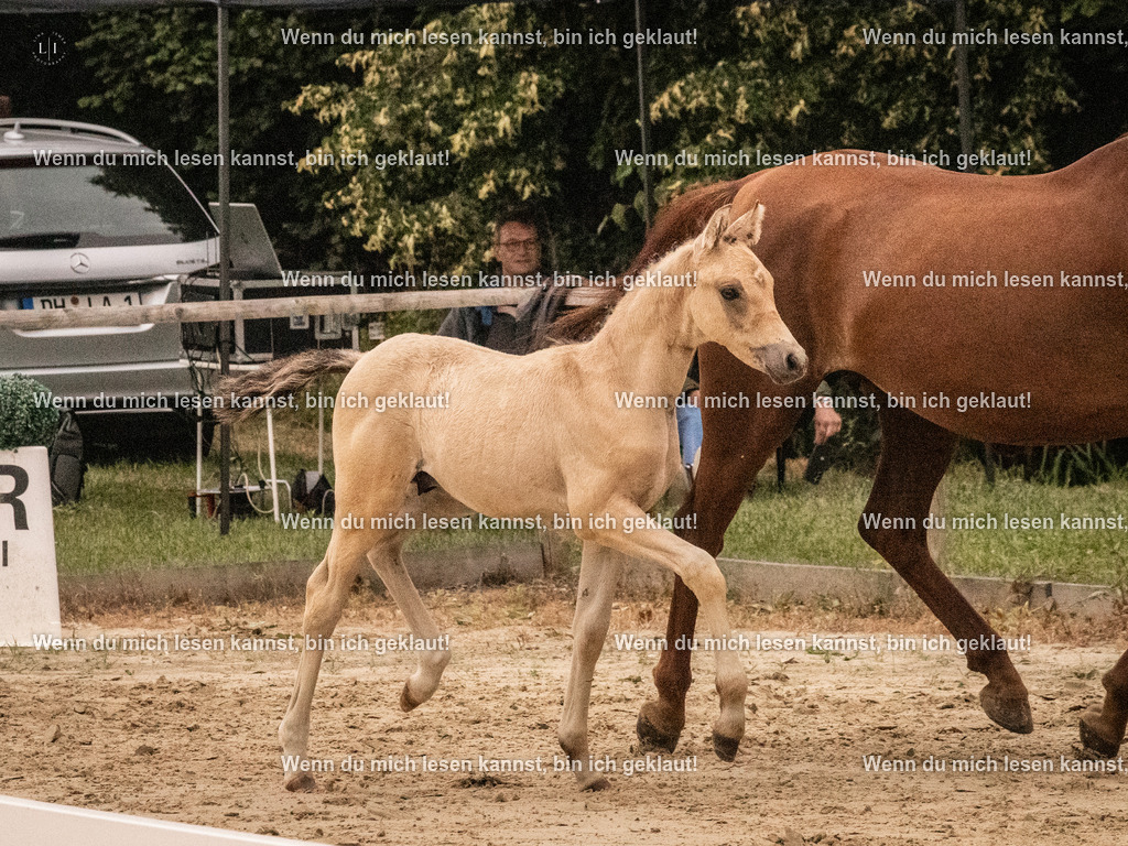 A10I1804 15.54.45 | photographylinaismer - Realisiert mit Pictrs.com