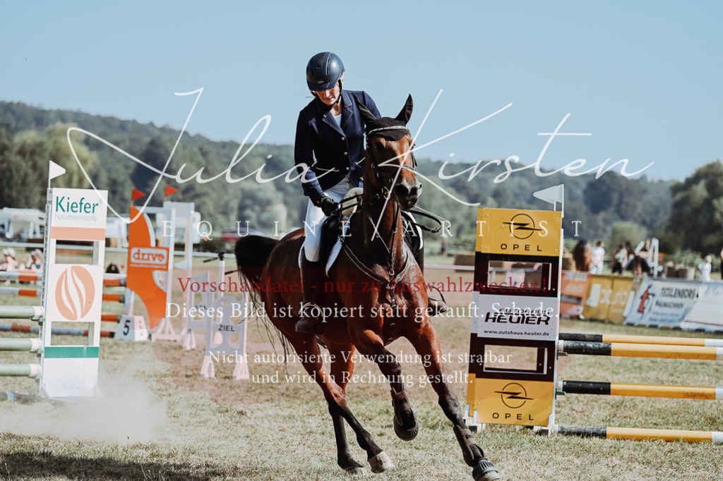 DSC_9392 | Pferde- und Turnierfotografie in Westsachsen. Pferdeportraits, Auftragszeichnungen und intuitive Kunst.