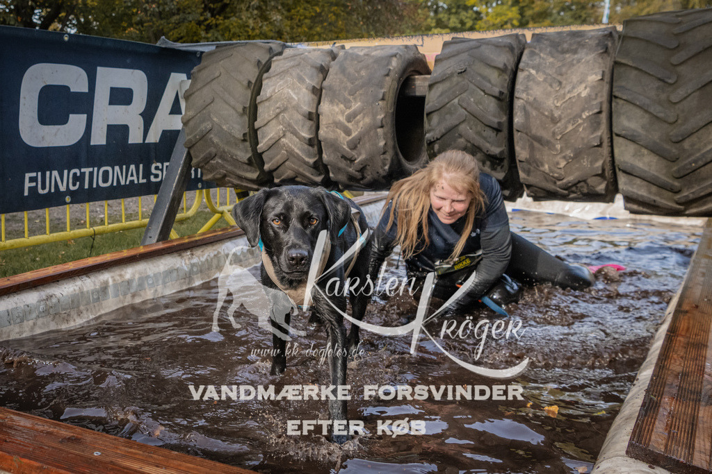 1422_ZZ94382 | kk-dogfotos