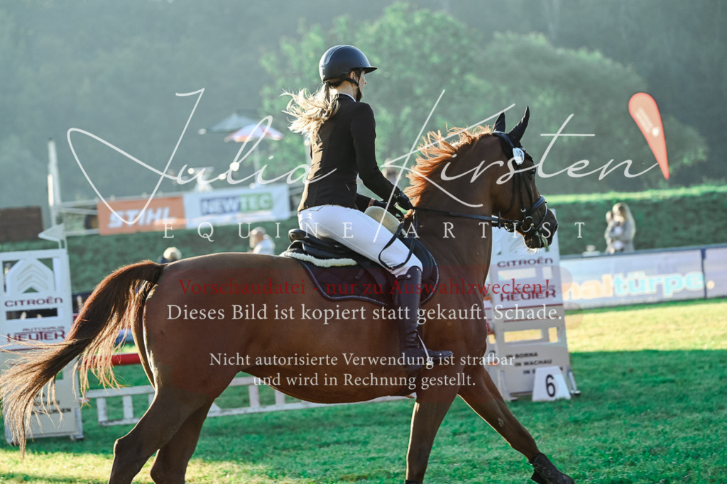 DSC_3949 | Pferde- und Turnierfotografie in Westsachsen. Pferdeportraits, Auftragszeichnungen und intuitive Kunst.