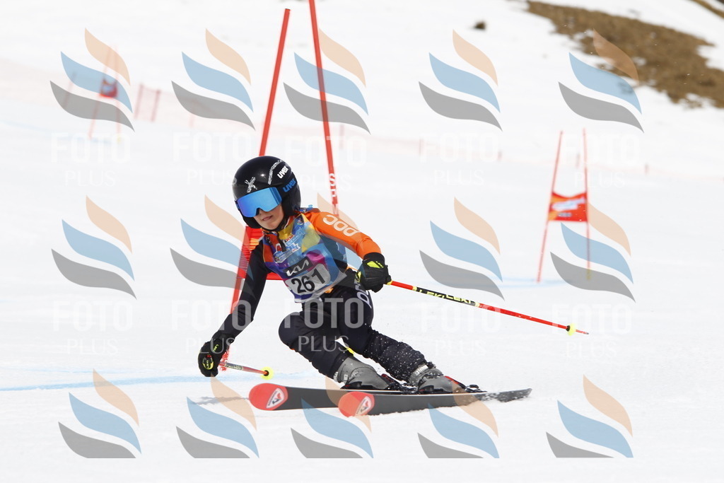 _U3G6542 | holidayphoto