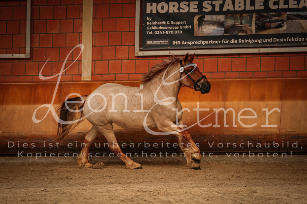 SaFL00067 | Leoni Ertmer Photography - Realisiert mit Pictrs.com