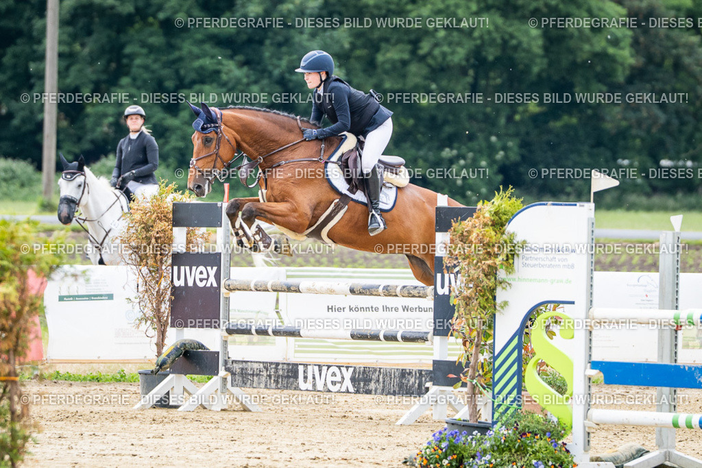 DSC05147 | Pferdegrafie