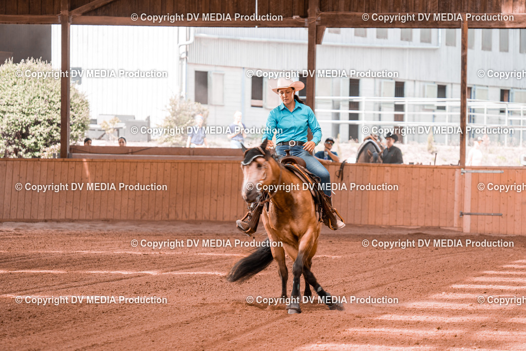 NE300672 | dv-media-shop - Realisiert mit Pictrs.com