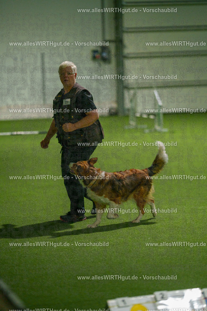 7R508847 | Professionelle Tierfotografie in Mönchengladbach von Daniel Wirth (allesWIRTHgut). Liebevolle & natürliche Bilder von Hunden & Katzen für unvergessliche Erinnerungen.