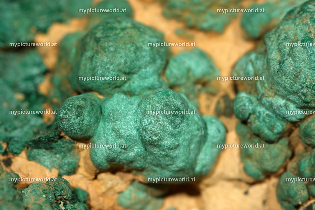 Malachit-002 | Das Bilderarchiv über Tiere, Planzen und Landschaften. In der Bilddatenbank finden Sie ein große Auswahl an hochwertigen Bilder für Ihre Werbung - Realisiert mit Pictrs.com
