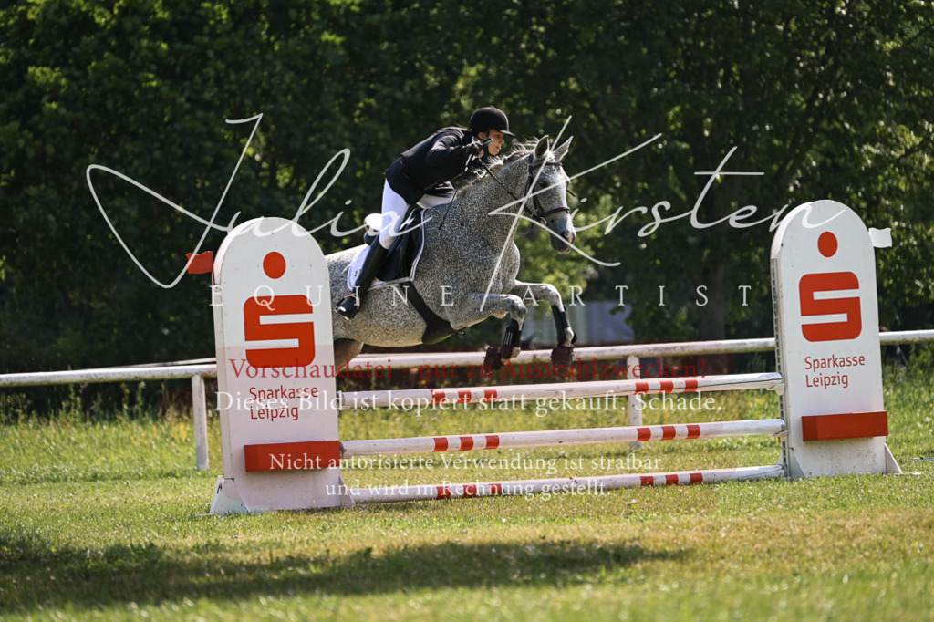 DSC_8984 | Pferde- und Turnierfotografie in Westsachsen. Pferdeportraits, Auftragszeichnungen und intuitive Kunst.