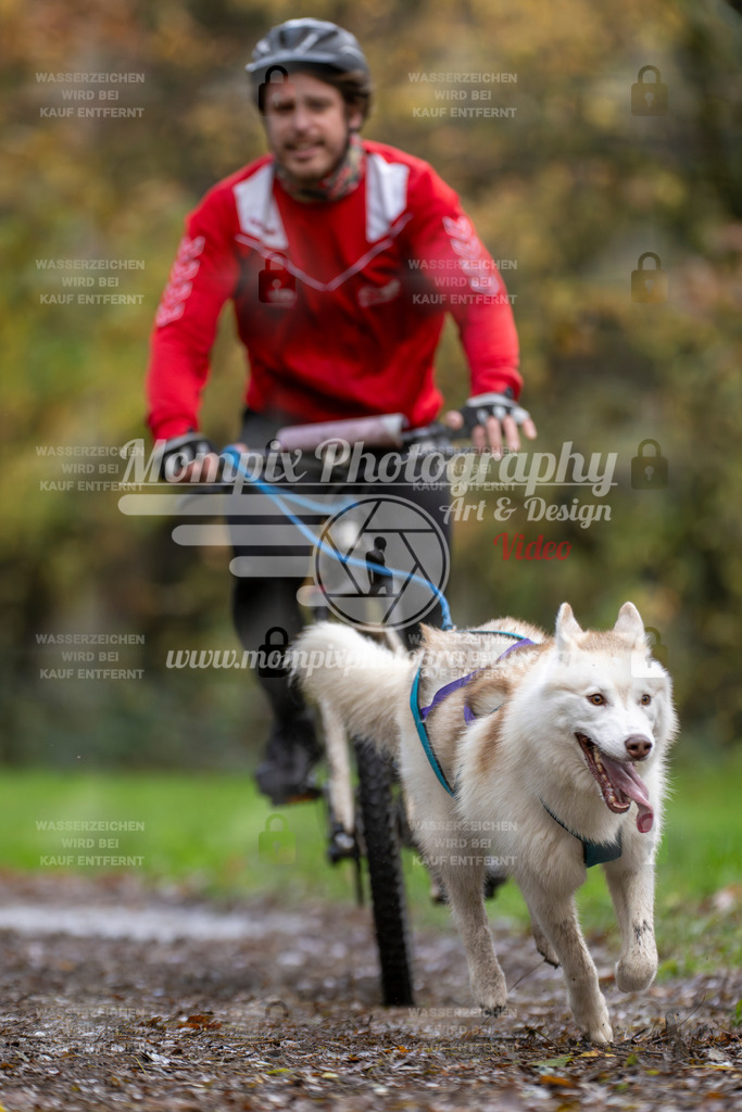 MompixPhotography_Bischwiller23_Bike-32 | PayLife