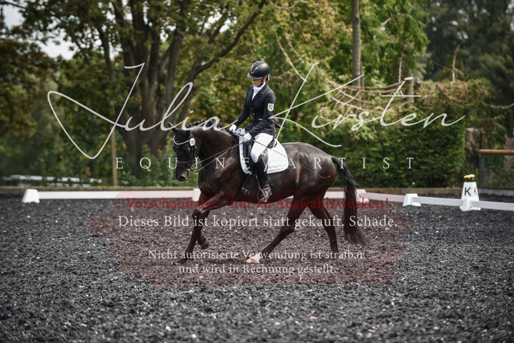 DSC_5076 | Pferde- und Turnierfotografie in Westsachsen. Pferdeportraits, Auftragszeichnungen und intuitive Kunst.