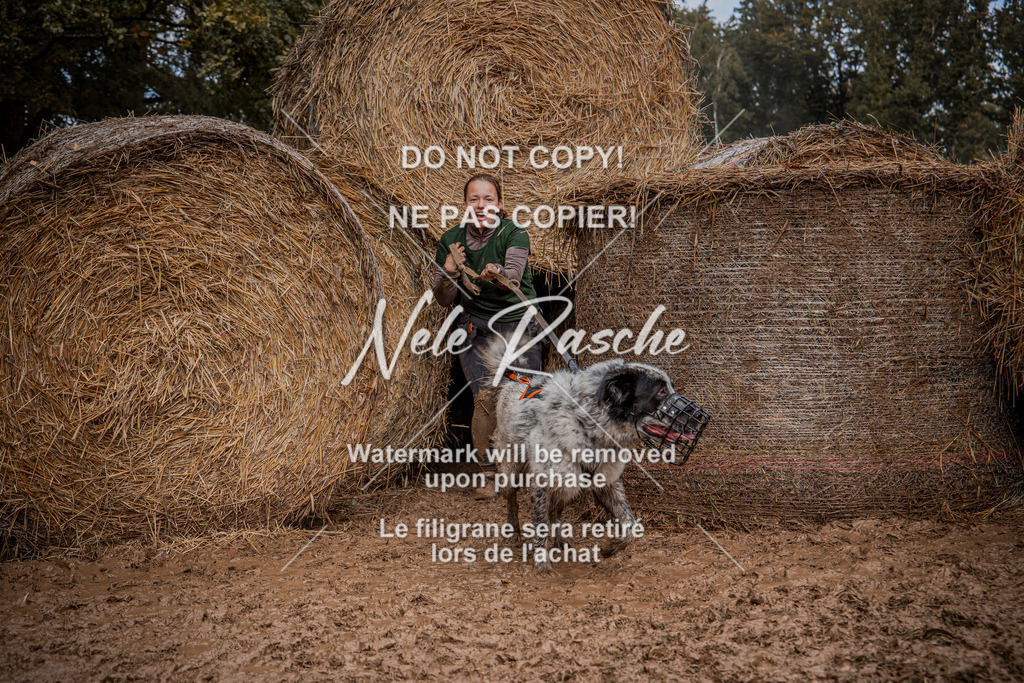 nelerasche_Hunsrück_So12-13_428 | nelerasche