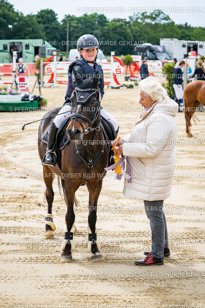 DSC06522 | Pferdegrafie