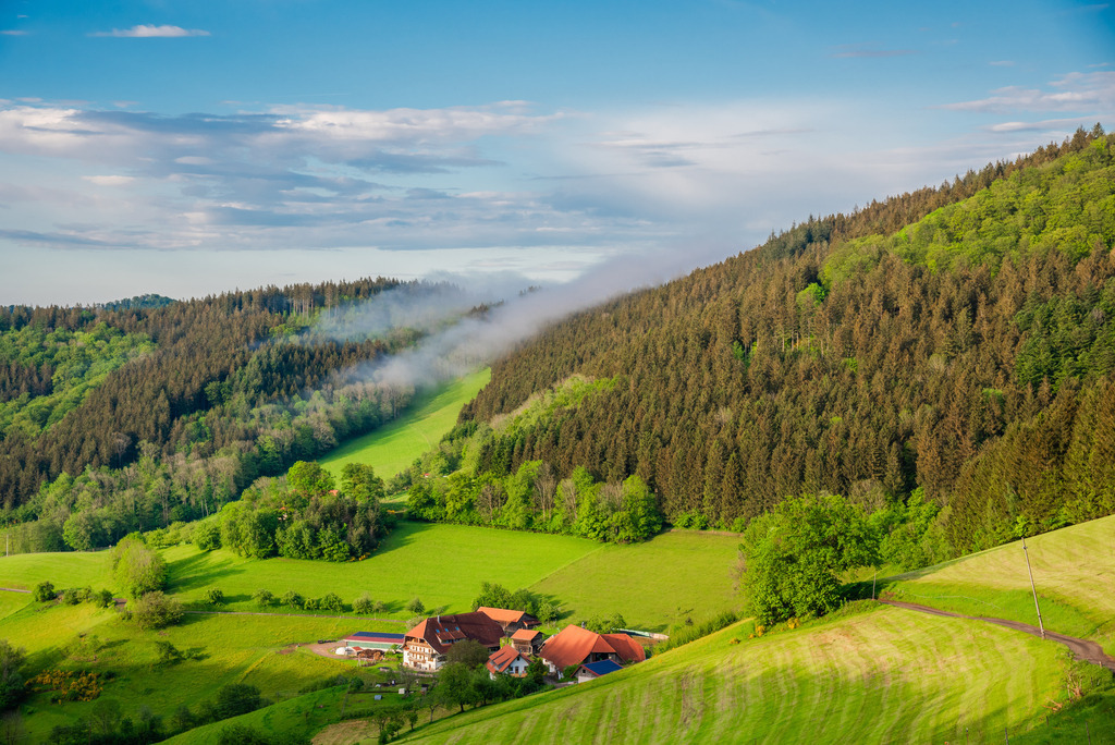 NAch dem Gewitter im Oberbüchern | Aufsteigender Nebel nach einem Gewitter im Oberbüchern - Realisiert mit Pictrs.com
