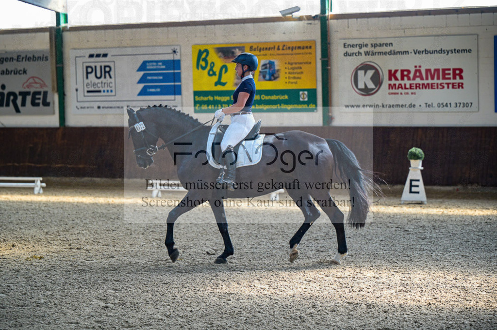Reitturnier Voxtrup | Entdecke hochwertige Reitturnierfotos von Foto Oger. Professionell, emotional und authentisch – jetzt Lieblingsmomente im Shop bestellen.Deutschlandweite Turnierfotografie. - Realisiert mit Pictrs.com