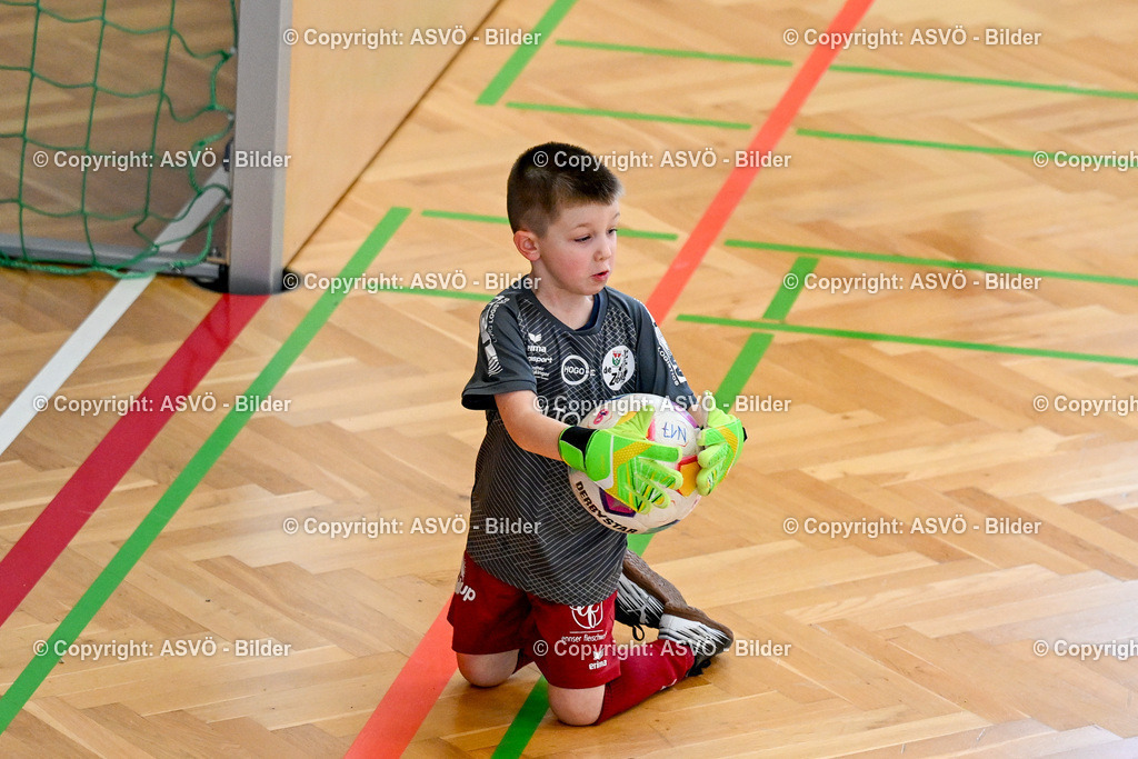 ASVÖ_ Fussball Nachwuchs Hallenturnier 2026_ SV Gallneukirchen_ 28.02.2026-305 | 28.02.2026, Gallneukirchen, AUT, ASVÖ, Fussball Nachwuchs Hallenturnier 2026, SV Gallneukirchen im Bild Teilnehmer U7©Harald Dostal / fodo.media - Realisiert mit Pictrs.com