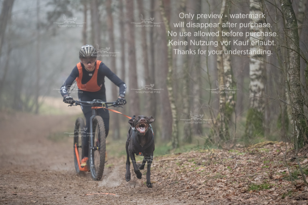 Scooter1-7 | stephaniefillaphotographie - Realisiert mit Pictrs.com