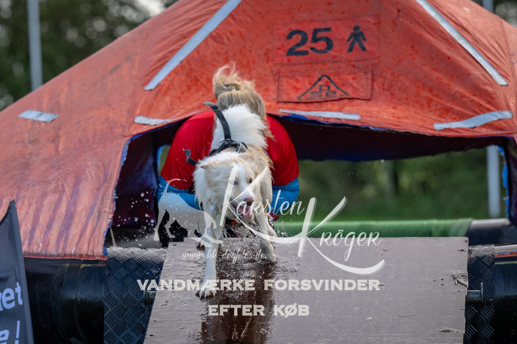 1258-90401 | kk-dogfotos
