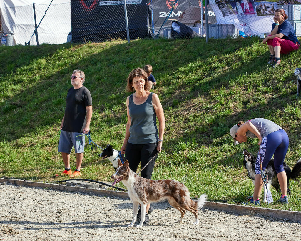 580A0077 | Peter Fridle Fotografie - Realisiert mit Pictrs.com