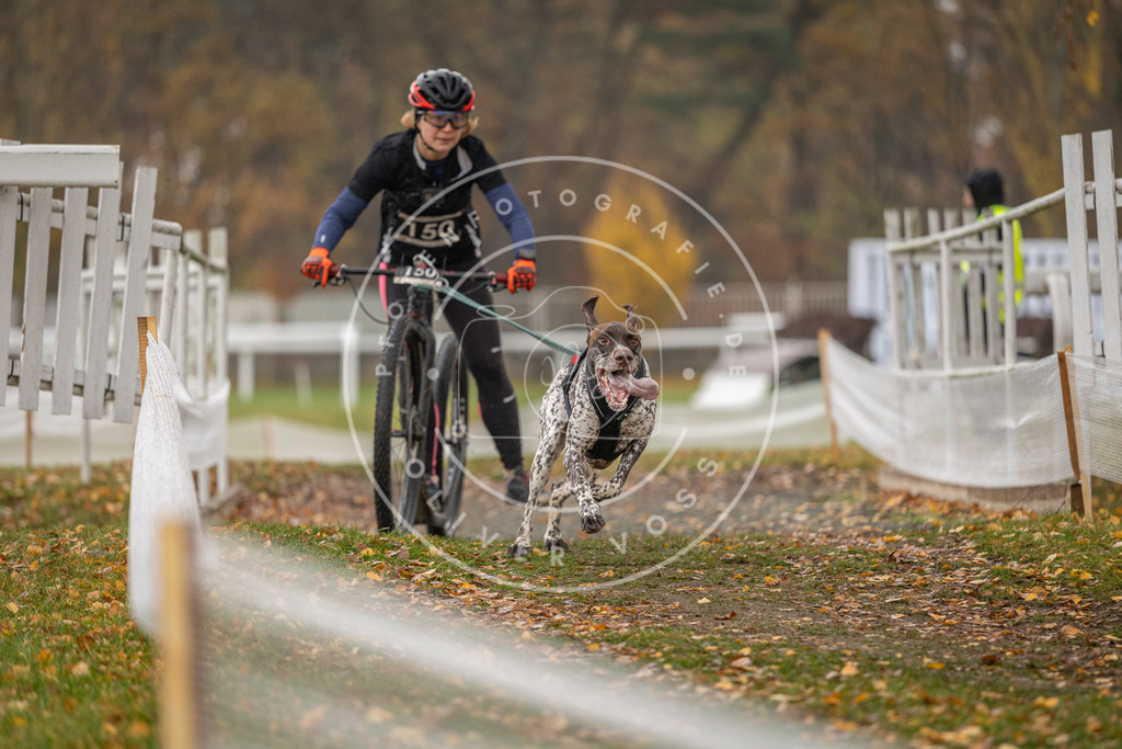 CaniXpix_DV3A8521 | Hundefotografie, Tierfotograf, Pfotenfotografie, Fotoshooting Hund, Hunde Portrait, Hundesport, Hundeportraits, Heideshooting, Hunde, Sportfotograf, Hundefotograf, Turnierhundsport, THS,  - Realisiert mit Pictrs.com