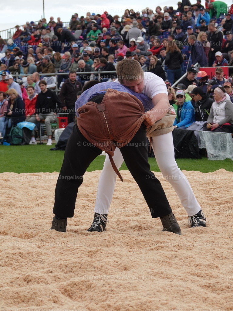 DSC06375 | Schwingen - Realisiert mit Pictrs.com