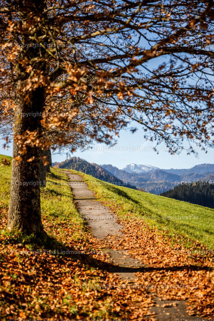 Blick ins Mariazellerland-8709 | Fotos und Fotoprodukte - Realisiert mit Pictrs.com