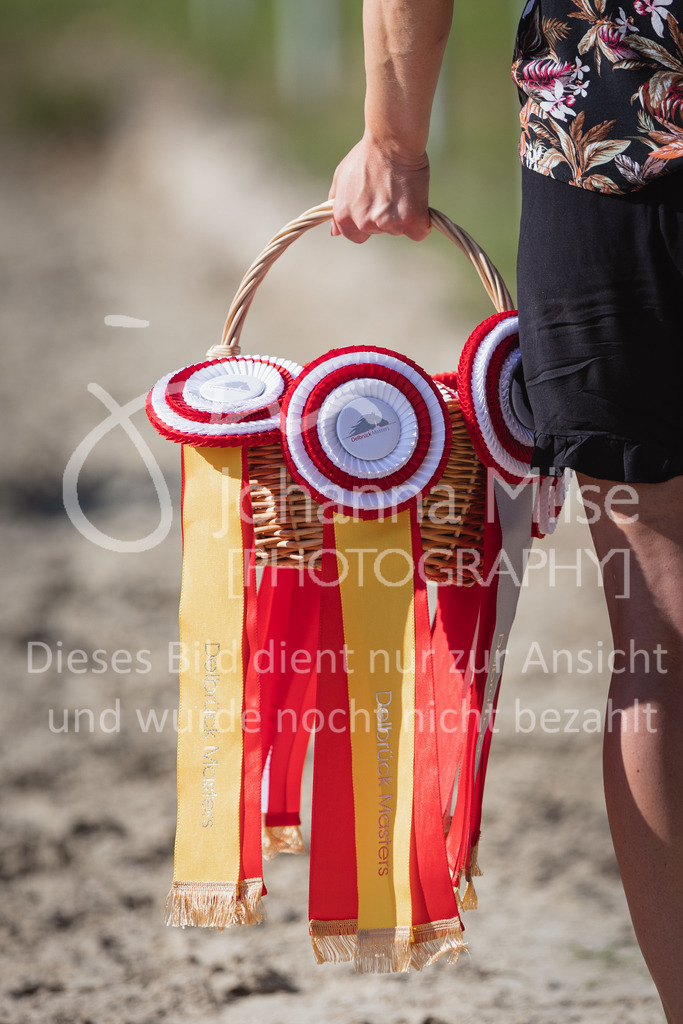 220824_Delbrueck_Stil-M1-274 | Deine schönsten Turniermomente als professionelle Fotos! Entdecke hochwertige Pferdesport-Fotografie im Online-Shop. Jetzt Fotos finden & bestellen!